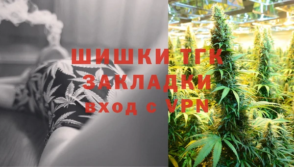 гидра Киренск