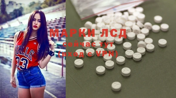 гидра Киренск